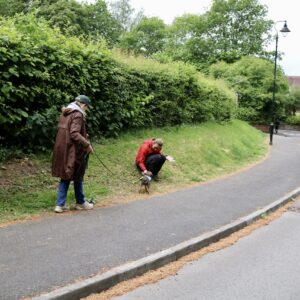 IMG_1423