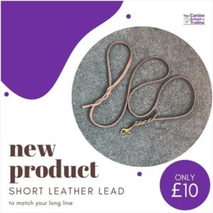 Leather Lead